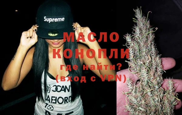 мет Дмитриев