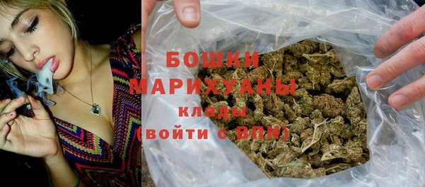 мет Дмитров