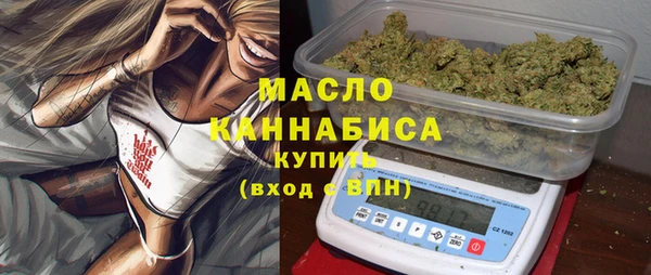 мет Дмитриев
