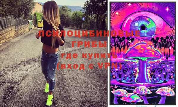 мет Дмитриев