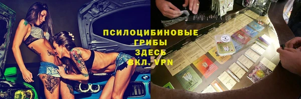 мет Дмитриев