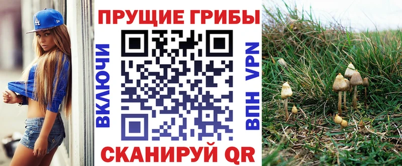 Купить закладки  Лабинск  Галлюциногенные грибы GOLDEN TEACHER 